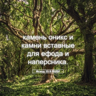 Picture 05 - Исход 35:9 RUSV - камень оникс и камни - Bible Verse Picture