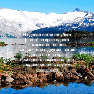 Picture 05 - Исход 36:11 RUSV - И сделал петли голубого - Bible Verse Picture