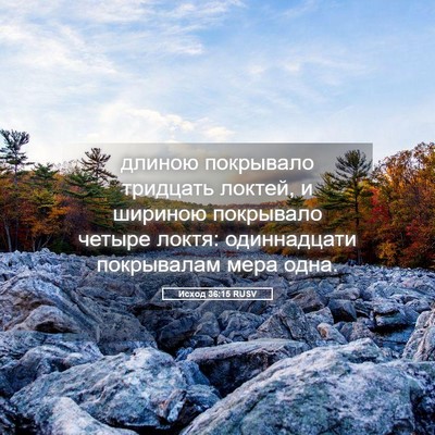 Picture 05 - Исход 36:15 RUSV - длиною покрывало тридцать - Bible Verse Picture