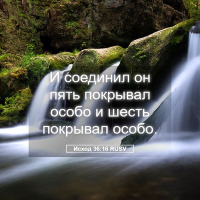 Picture 05 - Исход 36:16 RUSV - И соединил он пять - Bible Verse Picture