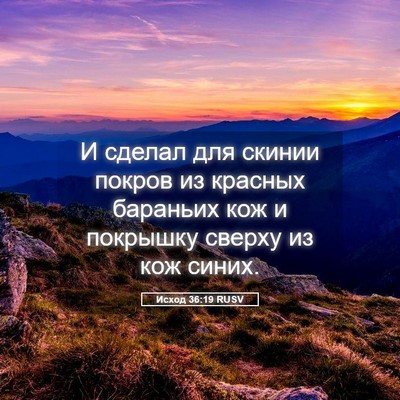 Picture 05 - Исход 36:19 RUSV - И сделал для скинии покров - Bible Verse Picture