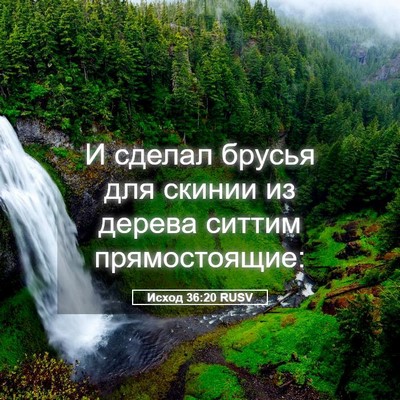 Picture 05 - Исход 36:20 RUSV - И сделал брусья для скинии - Bible Verse Picture
