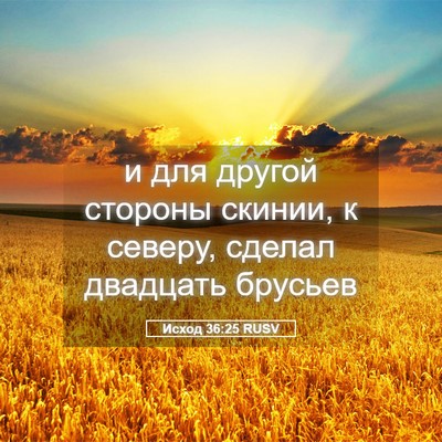 Picture 05 - Исход 36:25 RUSV - и для другой стороны - Bible Verse Picture