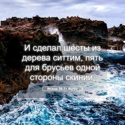 Picture 05 - Исход 36:31 RUSV - И сделал шесты из дерева - Bible Verse Picture