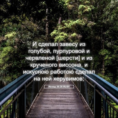 Picture 05 - Исход 36:35 RUSV - И сделал завесу из голубой, - Bible Verse Picture