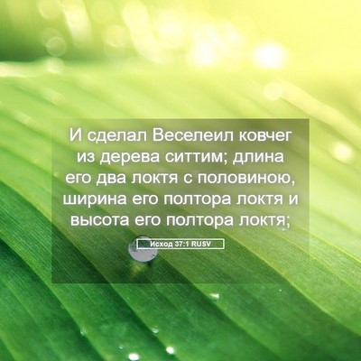 Picture 05 - Исход 37:1 RUSV - И сделал Веселеил ковчег - Bible Verse Picture
