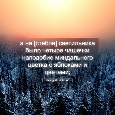 Picture 05 - Исход 37:20 RUSV - а на [стебле] светильника - Bible Verse Picture