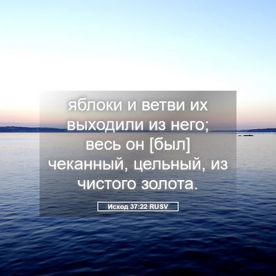 Picture 05 - Исход 37:22 RUSV - яблоки и ветви их выходили - Bible Verse Picture