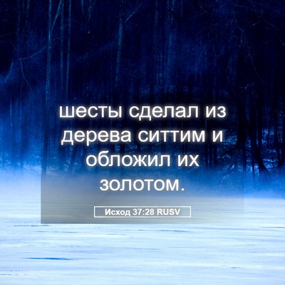 Picture 05 - Исход 37:28 RUSV - шесты сделал из дерева - Bible Verse Picture