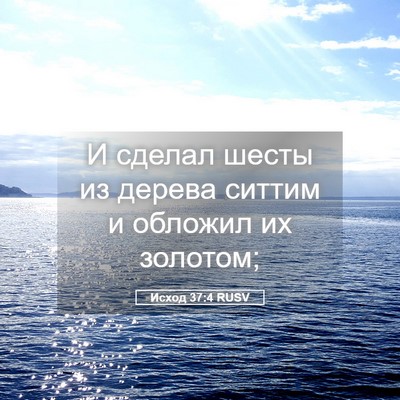 Picture 05 - Исход 37:4 RUSV - И сделал шесты из дерева - Bible Verse Picture
