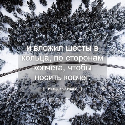 Picture 05 - Исход 37:5 RUSV - и вложил шесты в кольца, по - Bible Verse Picture