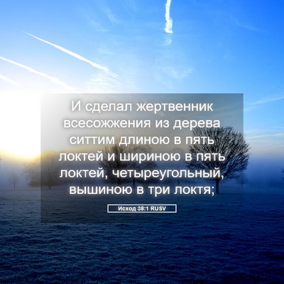 Picture 05 - Исход 38:1 RUSV - И сделал жертвенник - Bible Verse Picture