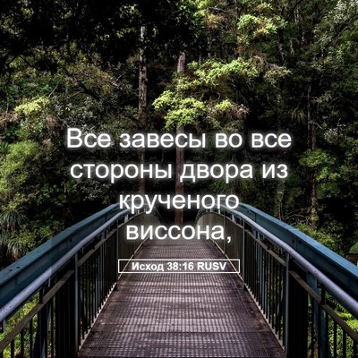 Picture 05 - Исход 38:16 RUSV - Все завесы во все стороны - Bible Verse Picture
