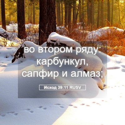 Picture 05 - Исход 39:11 RUSV - во втором ряду: карбункул, - Bible Verse Picture