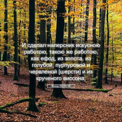 Picture 05 - Исход 39:8 RUSV - И сделал наперсник - Bible Verse Picture