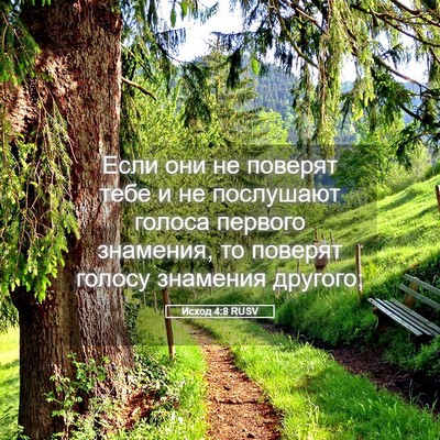 Picture 05 - Исход 4:8 RUSV - Если они не поверят тебе и - Bible Verse Picture