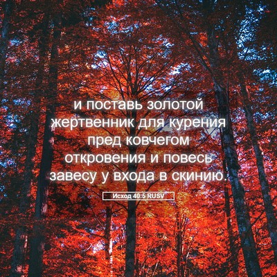 Picture 05 - Исход 40:5 RUSV - и поставь золотой - Bible Verse Picture