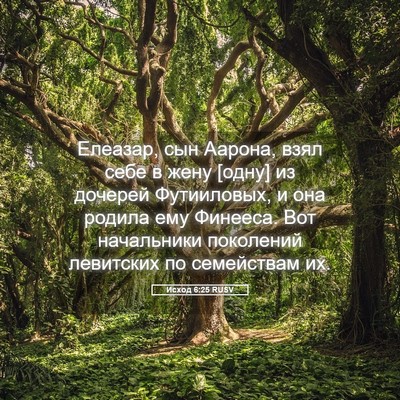 Picture 05 - Исход 6:25 RUSV - Елеазар, сын Аарона, взял - Bible Verse Picture