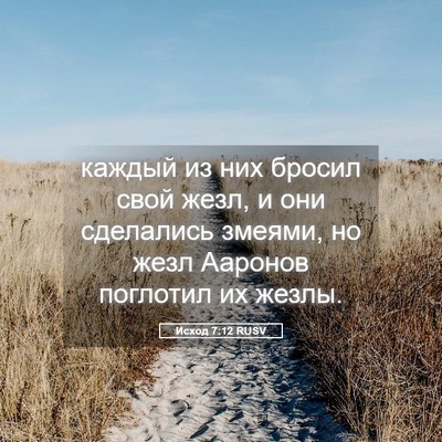 Picture 05 - Исход 7:12 RUSV - каждый из них бросил свой - Bible Verse Picture