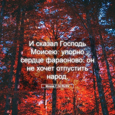Picture 05 - Исход 7:14 RUSV - И сказал Господь Моисею: - Bible Verse Picture