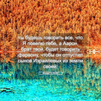Picture 05 - Исход 7:2 RUSV - ты будешь говорить все, что - Bible Verse Picture
