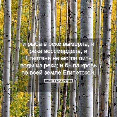 Picture 05 - Исход 7:21 RUSV - и рыба в реке вымерла, и - Bible Verse Picture
