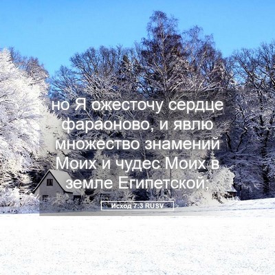 Picture 05 - Исход 7:3 RUSV - но Я ожесточу сердце - Bible Verse Picture