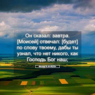 Picture 05 - Исход 8:10 RUSV - Он сказал: завтра. [Моисей] - Bible Verse Picture