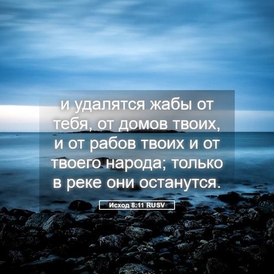 Picture 05 - Исход 8:11 RUSV - и удалятся жабы от тебя, от - Bible Verse Picture