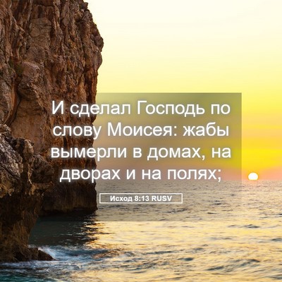 Picture 05 - Исход 8:13 RUSV - И сделал Господь по слову - Bible Verse Picture