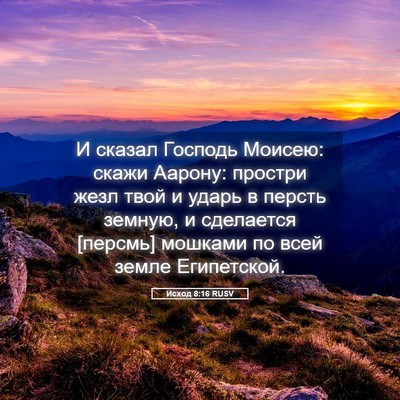 Picture 05 - Исход 8:16 RUSV - И сказал Господь Моисею: - Bible Verse Picture