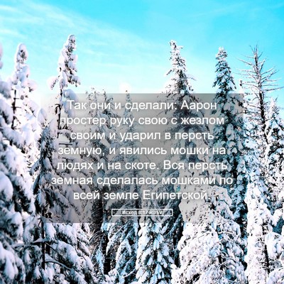 Picture 05 - Исход 8:17 RUSV - Так они и сделали: Аарон - Bible Verse Picture