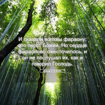 Picture 05 - Исход 8:19 RUSV - И сказали волхвы фараону: - Bible Verse Picture