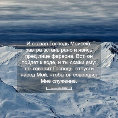 Picture 05 - Исход 8:20 RUSV - И сказал Господь Моисею: - Bible Verse Picture