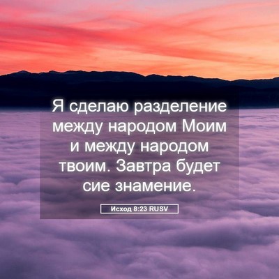 Picture 05 - Исход 8:23 RUSV - Я сделаю разделение между - Bible Verse Picture