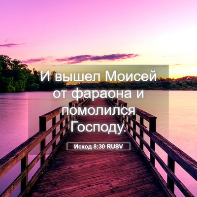 Picture 05 - Исход 8:30 RUSV - И вышел Моисей от фараона и - Bible Verse Picture