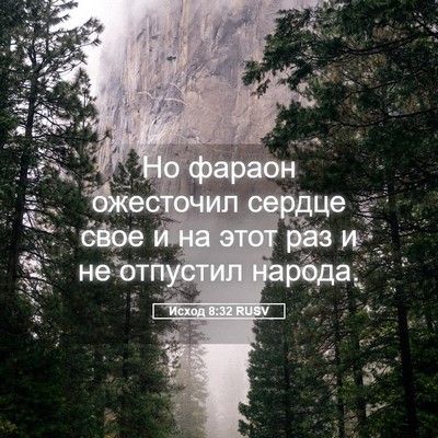 Picture 05 - Исход 8:32 RUSV - Но фараон ожесточил сердце - Bible Verse Picture