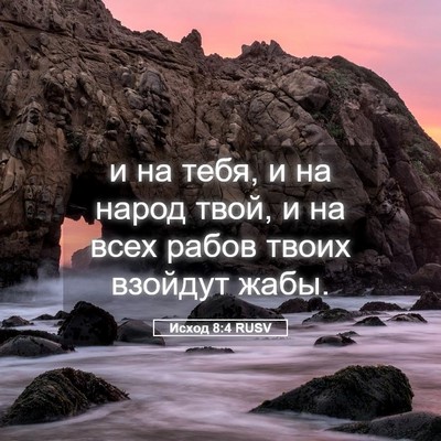 Picture 05 - Исход 8:4 RUSV - и на тебя, и на народ твой, и - Bible Verse Picture