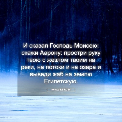 Picture 05 - Исход 8:5 RUSV - И сказал Господь Моисею: - Bible Verse Picture