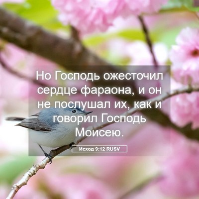 Picture 05 - Исход 9:12 RUSV - Но Господь ожесточил - Bible Verse Picture
