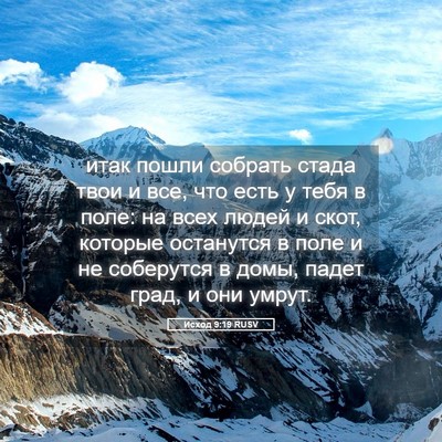 Picture 05 - Исход 9:19 RUSV - итак пошли собрать стада - Bible Verse Picture