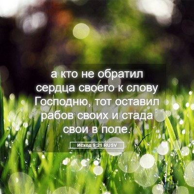 Picture 05 - Исход 9:21 RUSV - а кто не обратил сердца - Bible Verse Picture