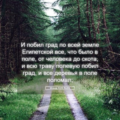 Picture 05 - Исход 9:25 RUSV - И побил град по всей земле - Bible Verse Picture