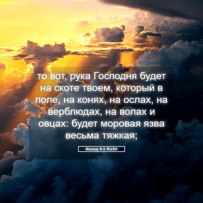 Picture 05 - Исход 9:3 RUSV - то вот, рука Господня будет - Bible Verse Picture
