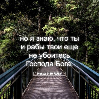 Picture 05 - Исход 9:30 RUSV - но я знаю, что ты и рабы - Bible Verse Picture
