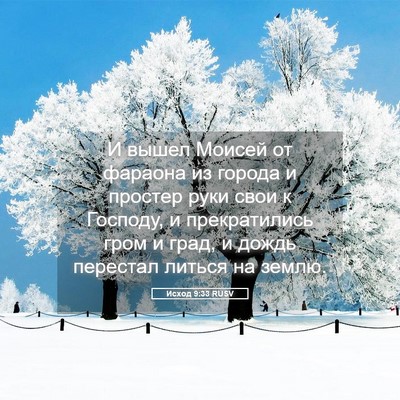 Picture 05 - Исход 9:33 RUSV - И вышел Моисей от фараона - Bible Verse Picture