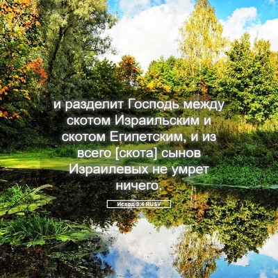 Picture 05 - Исход 9:4 RUSV - и разделит Господь между - Bible Verse Picture