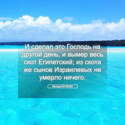 Picture 05 - Исход 9:6 RUSV - И сделал это Господь на - Bible Verse Picture