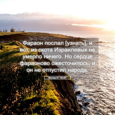 Picture 05 - Исход 9:7 RUSV - Фараон послал [узнать], и - Bible Verse Picture