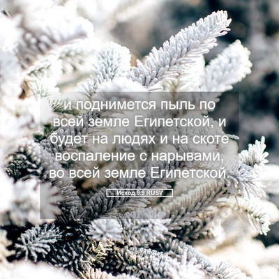 Picture 05 - Исход 9:9 RUSV - и поднимется пыль по всей - Bible Verse Picture